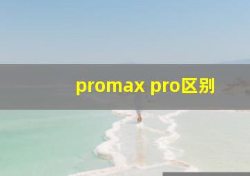 promax pro区别